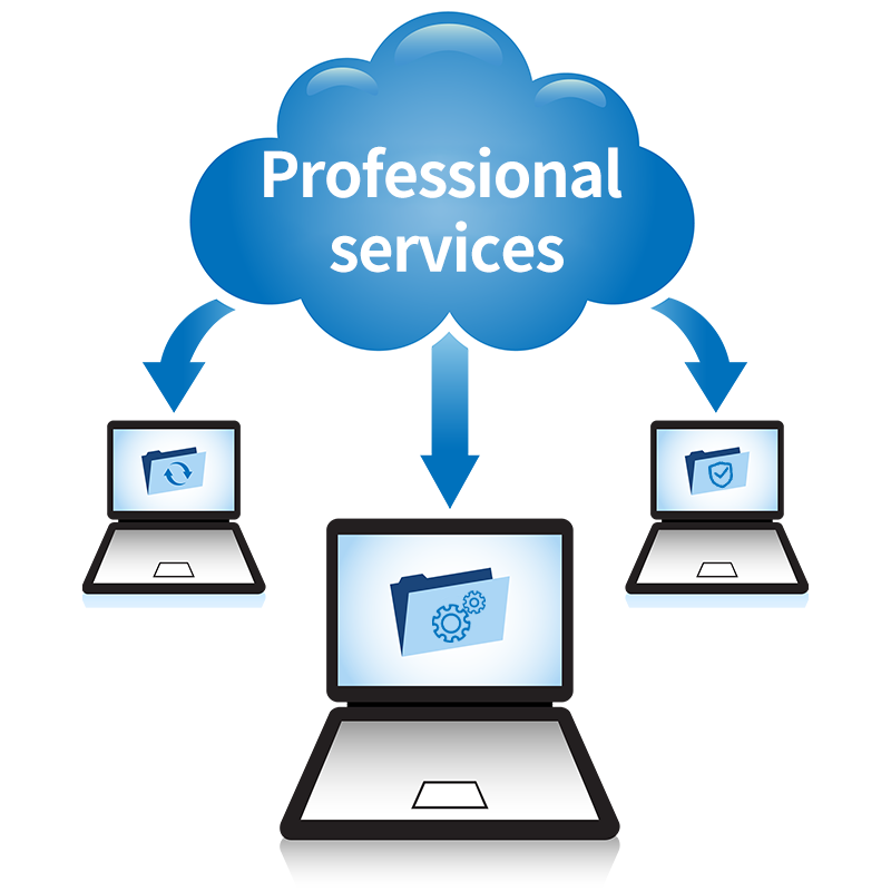 Professional Services